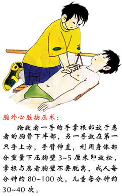 ylzzcom永利总站